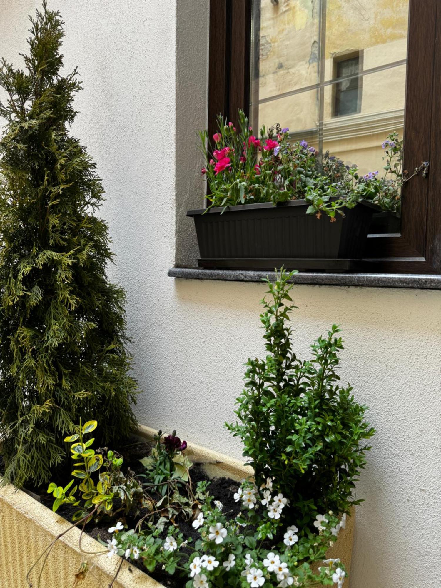 Balcescu Central Residence Сибиу Номер фото